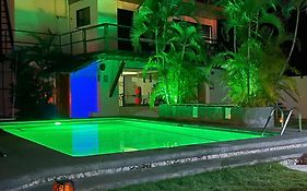 Parrot Resort Moalboal